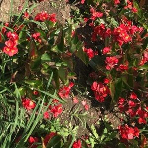 Meet your Posher, Abraham